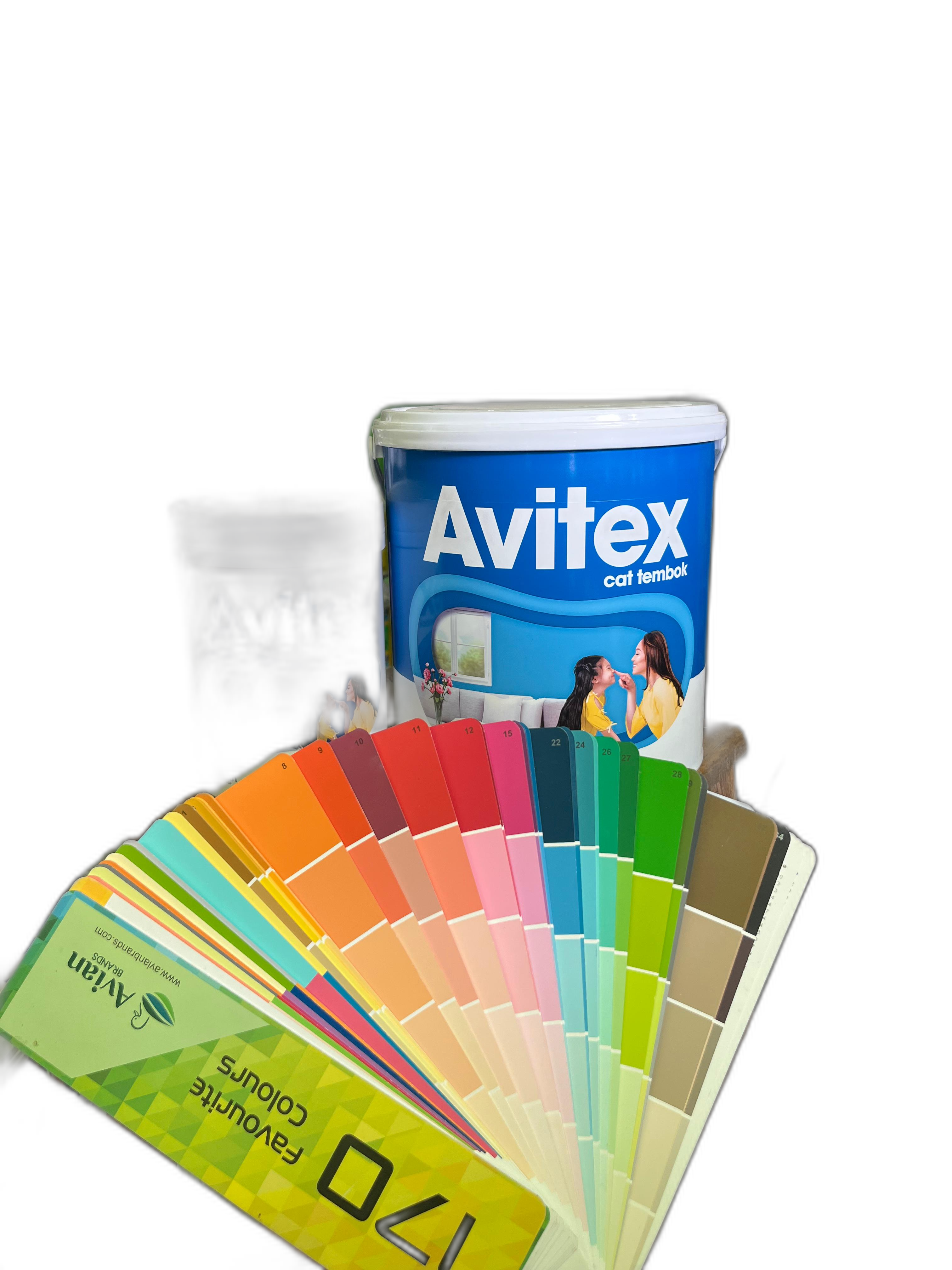 Cat Tembok Avitex